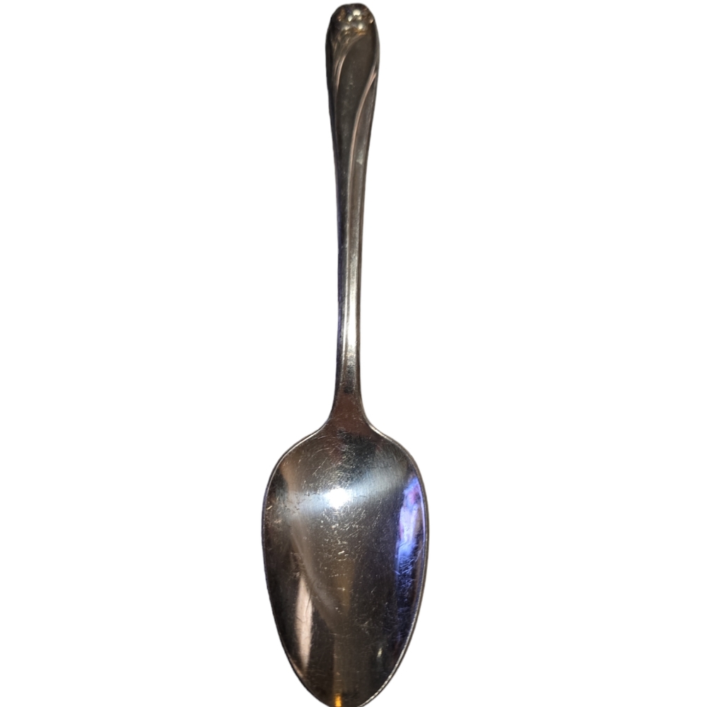 Rogers Daffodil Silver Plated Teaspoon
